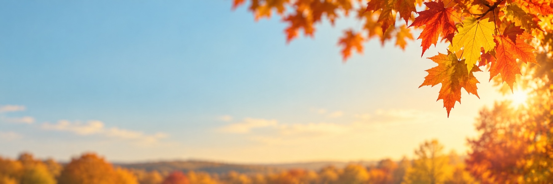 Fall imagery and horizon